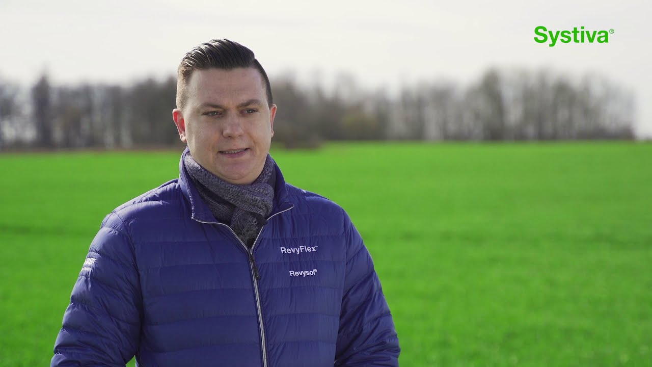 Zaprawa nasienna Systiva&reg; 333 FS &ndash; efekty stosowania w uprawie pszenicy ozimej