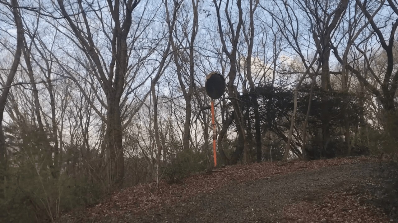 【デリカミニで行く】茨城県 林道 茂沢線