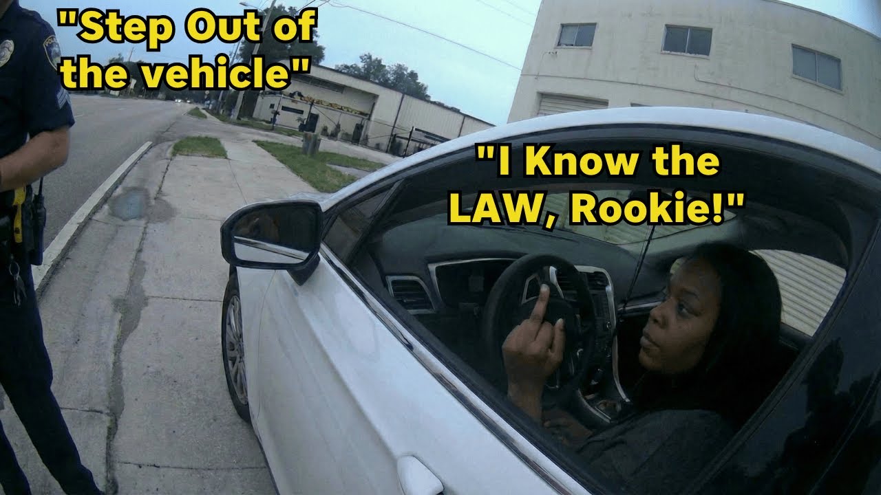Cops Racially Profile State Attorney — Regret It Instantly When She Reveals Her Identity