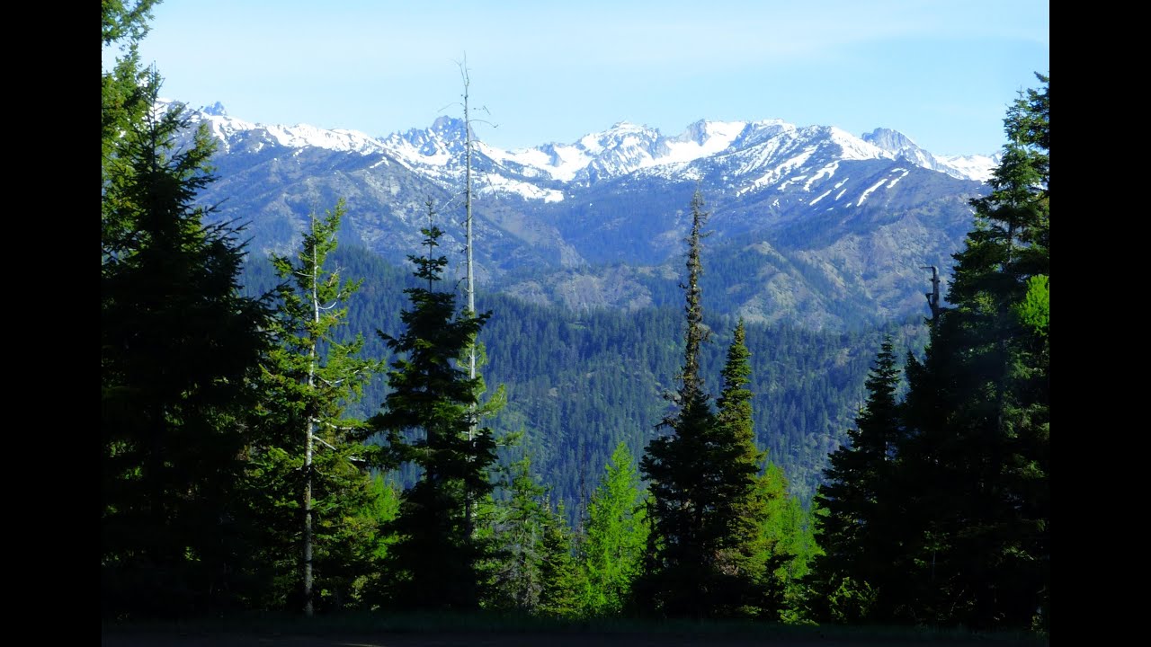 Spring Mushroom Hunting - Morels and Porcini - Washington Cascades - 2020