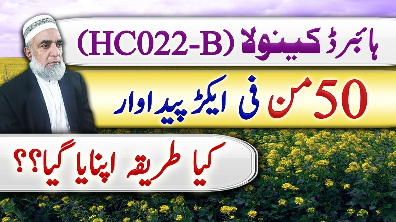 Hybrid Canola HC022-B || Crop Refprmer