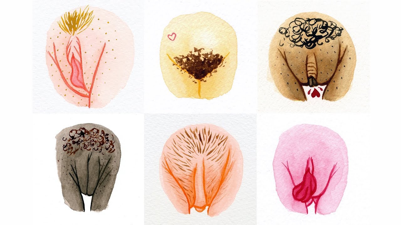 Vulva Gallery : 800 vulves pour montrer la diversit&eacute; des corps