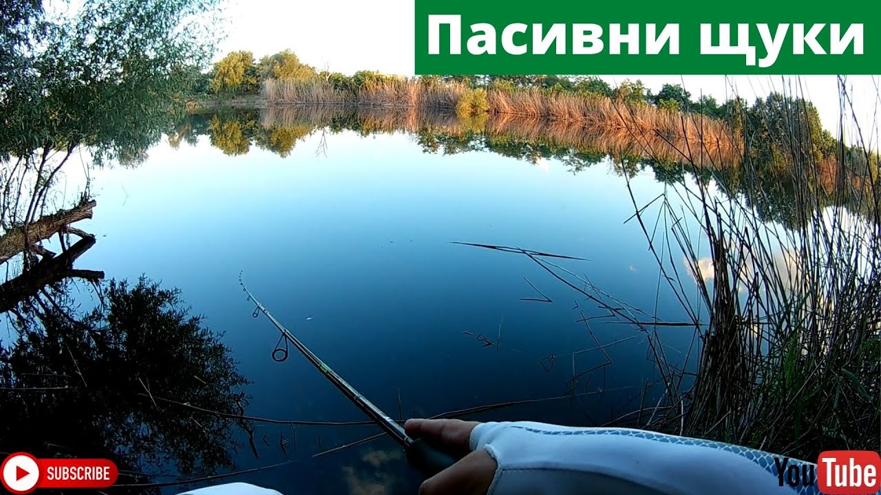 Риболов на пасивни щуки рано сутринта
