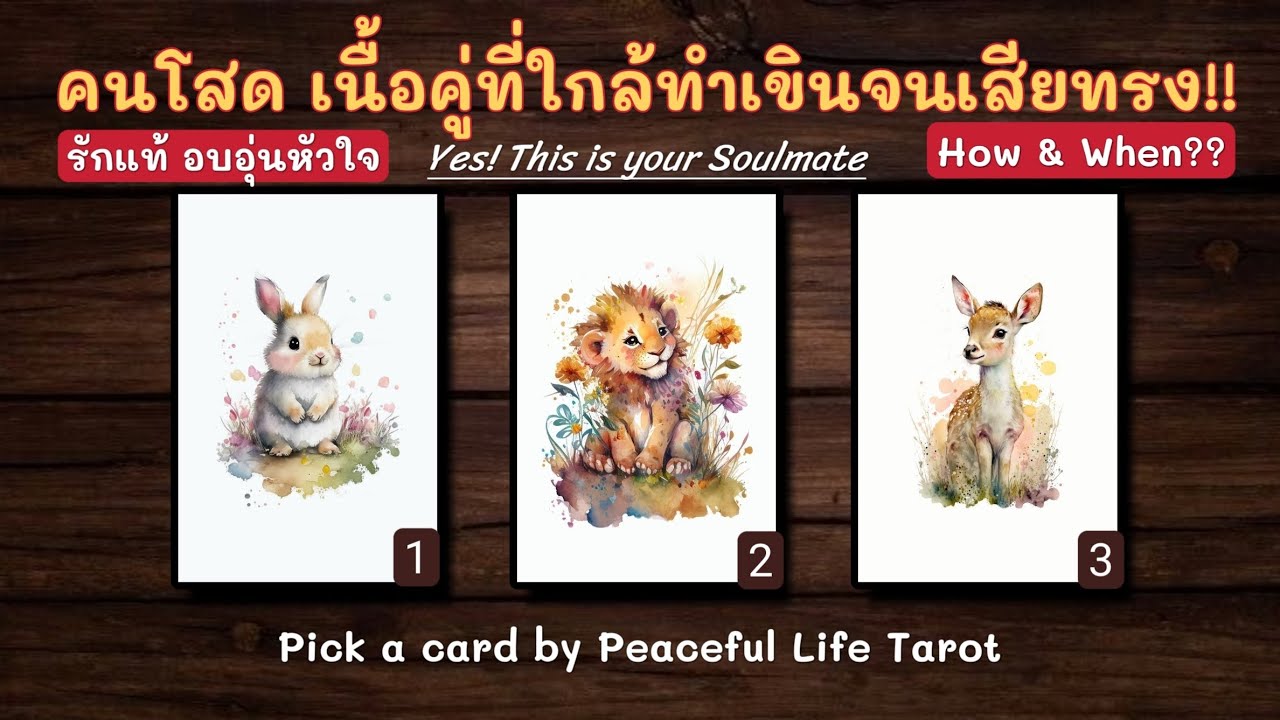 Pick a card 🔮🧿 เนื้อคู่ของคนโสด พลังงานรักแท้ของคุณ 🤵🏻👰🏻‍♀️🎉 #pickacard #ดูดวงความรัก #ดูดวง #รักแท้