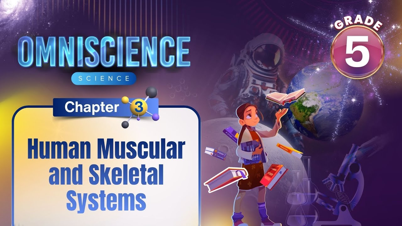 Human Muscular and Skeletal Systems | Science Class 5 | Chapter 3 | IP Study