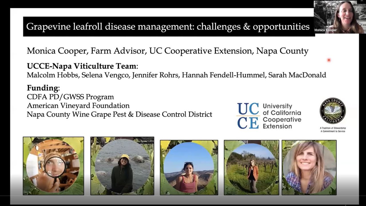 Stop The Spread - Grapevine Leafroll Disease Management: Obstacles and Opportunities