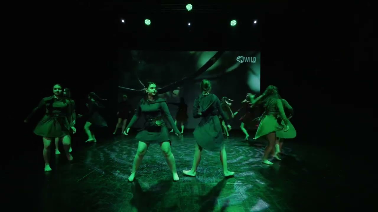 TANIEC WSP&Oacute;ŁCZESNY [all lvls] - FINAL SHOW | WILD DANCE ACADEMY