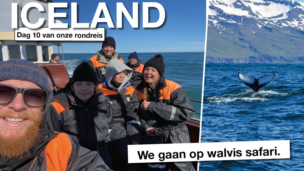 Walvis Safari in IJsland! Magie op Zee!