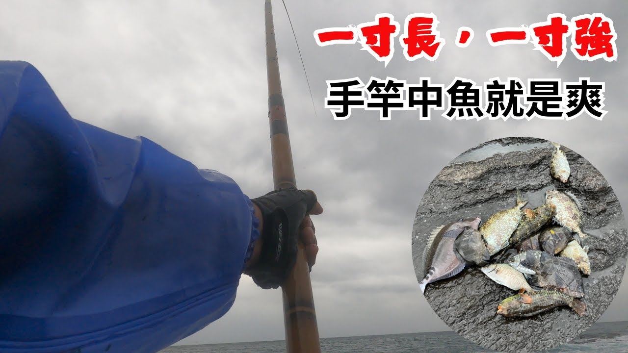 #藻餌磯釣#東北角#萊萊磯釣場#手竿中魚就是爽