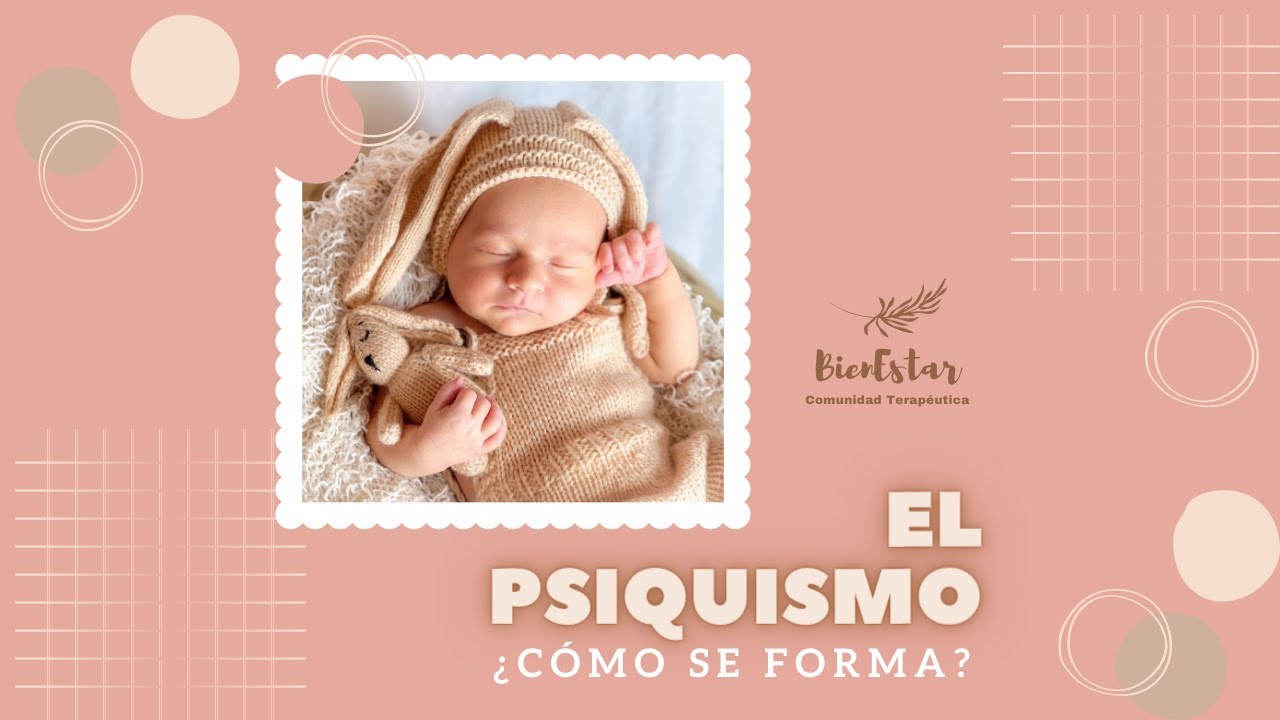 El psiquismo ¿Cómo se forma? | BienEstar Comunidad Terapéutica