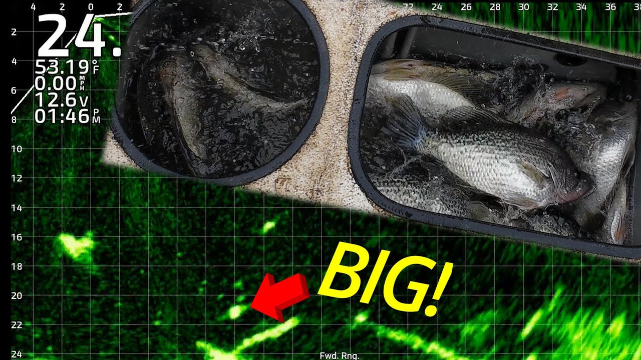 LIVESCOPE FOOTAGE – THICK WINTER CRAPPIE!!