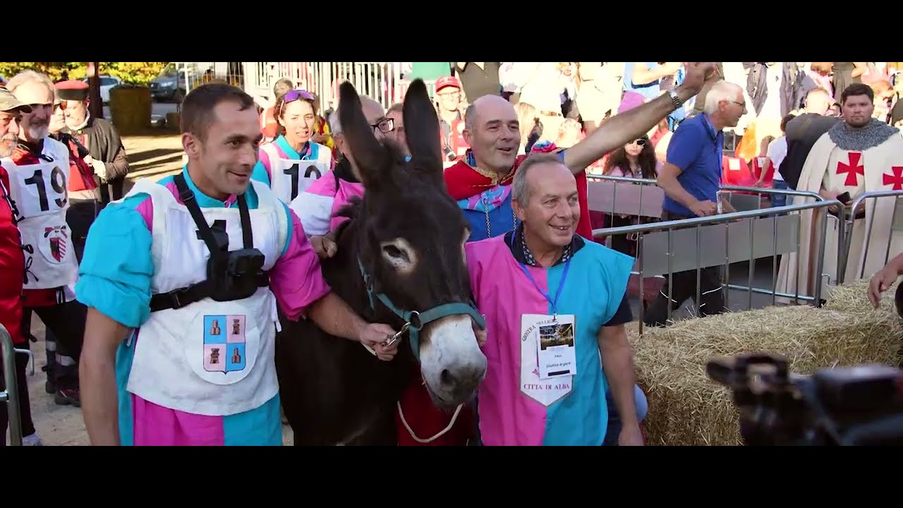 Reel Palio degli Asini- Donkey Palio 2025 - Alba