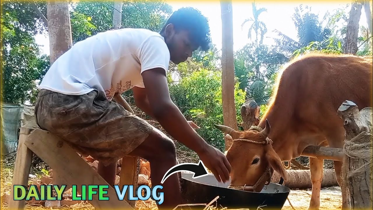 আজ বাড়ির কিছু কাজ করলাম  @TBC-vlogs