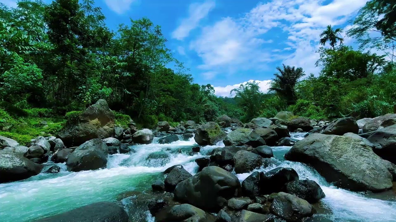 Fall Asleep Fast with Gentle River Flow 🌿 Nature Sleep Sounds