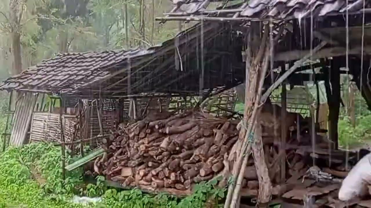 Serene Rural Rainstorm – Meditation & Inner Peace