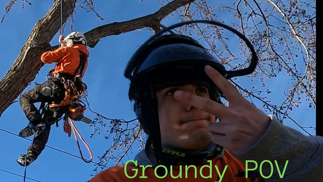 Groundsman POV with Tree Man Dean