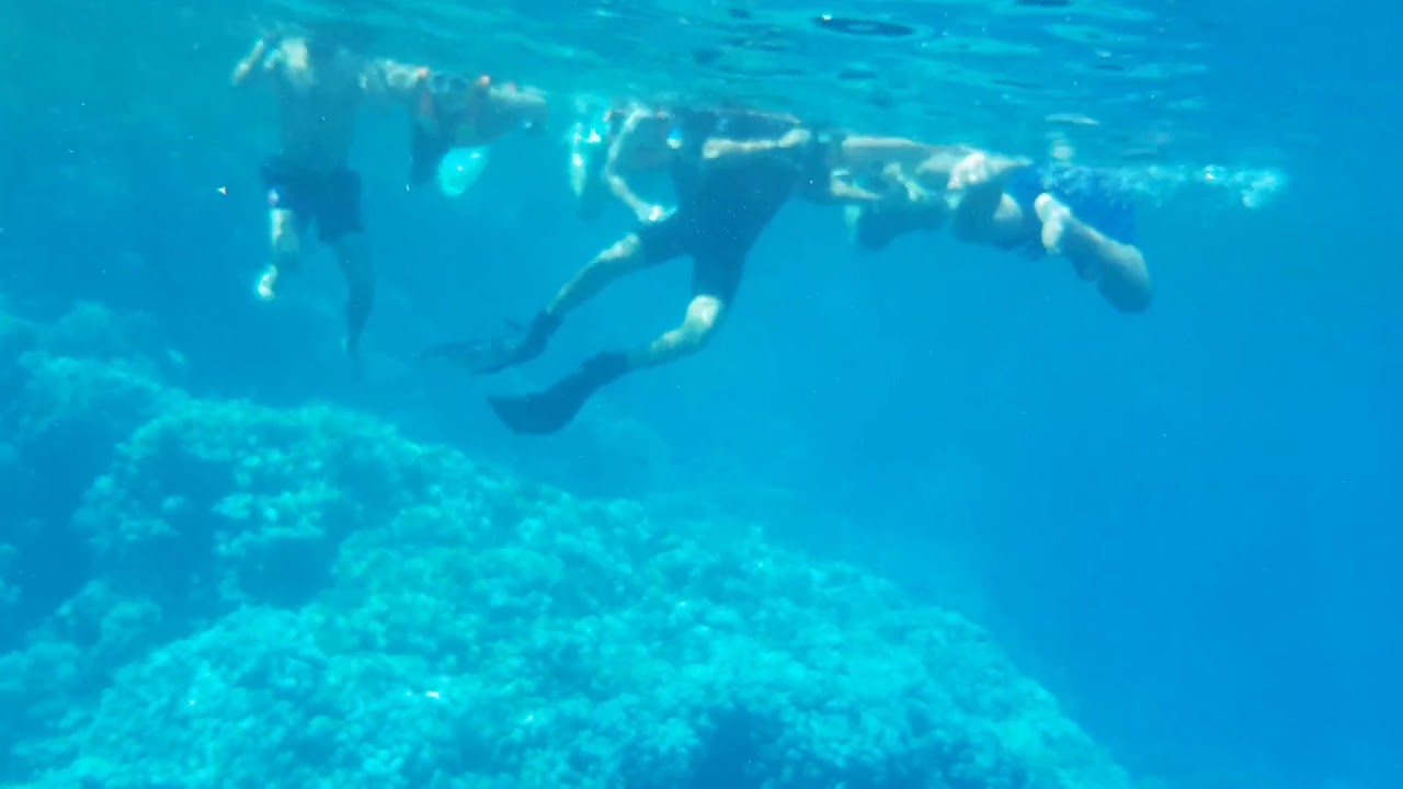 Snorkeling in Lagoon Dahab Egypt