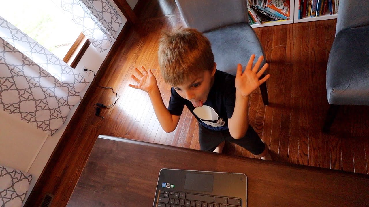 Crazy Kindergarten Zoom Call Dance
