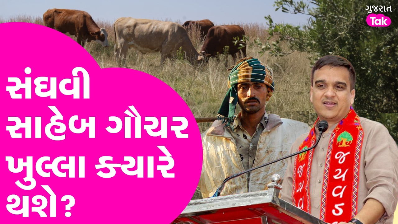 Harsh Sanghavi ગૌચરના દબાણ પર ક્યારે બોલશે? ગૌચર પર કબજો દૂર ક્યારે થશે?