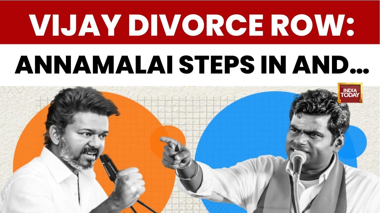 Vijay Divorce Row: Annamalai Comments On Divorce Petition | 'Trial By Fire In Politics'