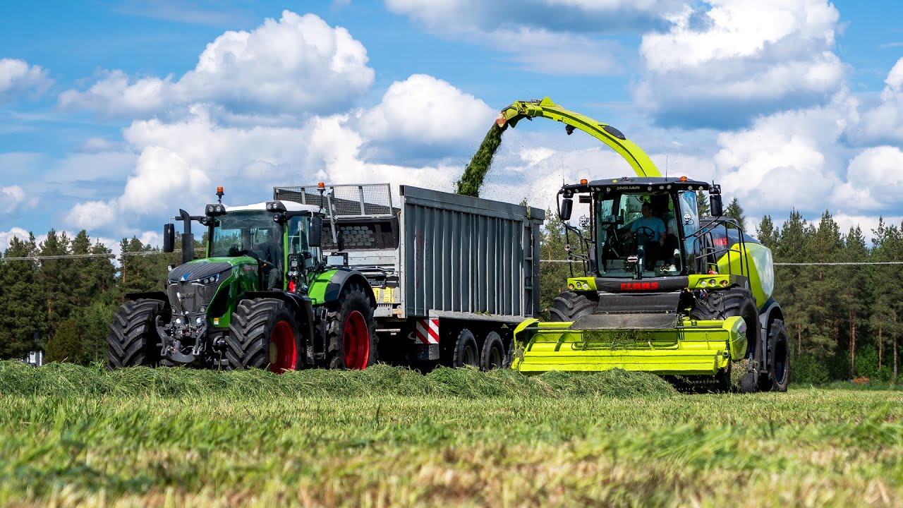 Silage 2024 | CLAAS Jaguar 950 50th Edition | Ilkan Tila Oy | Lapua, Finland