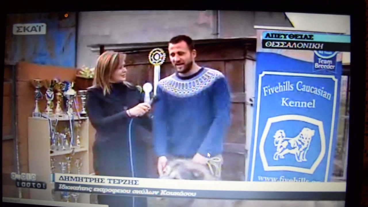 ΕΚΤΡΟΦΕΙΟ ΠΟΙΜΕΝΙΚΟΥ ΚΑΥΚΑΣΟΥ FIVEHILLS CAUCASIAN KENNEL