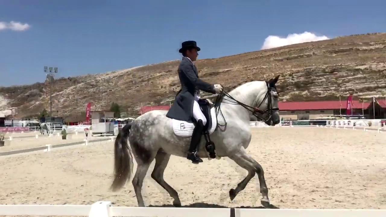 Joya FS - Gran Premio Especial