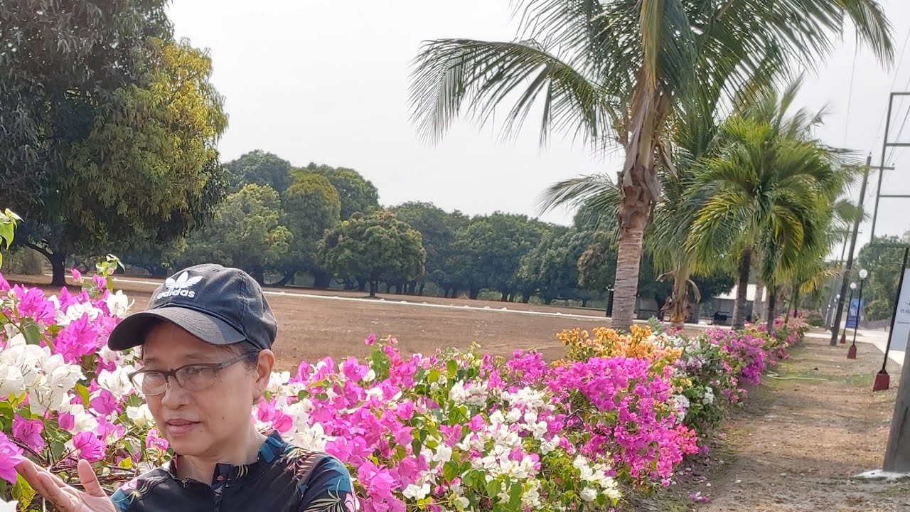 woooooow amazing 👏