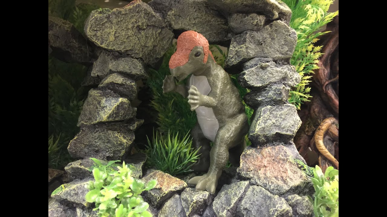Pachycephalosaurus -15 MAR 2019