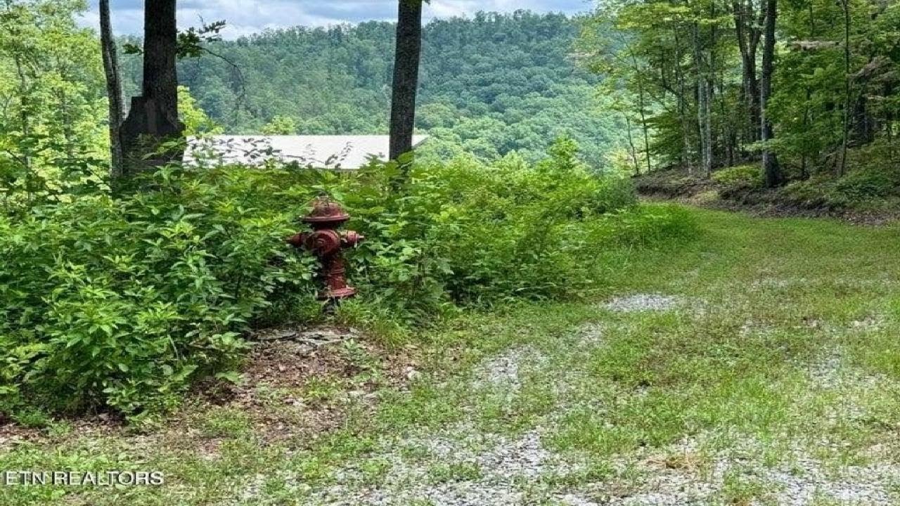 1291 Buck Ln, Crawford, TN Presented by Lisa Garrett.