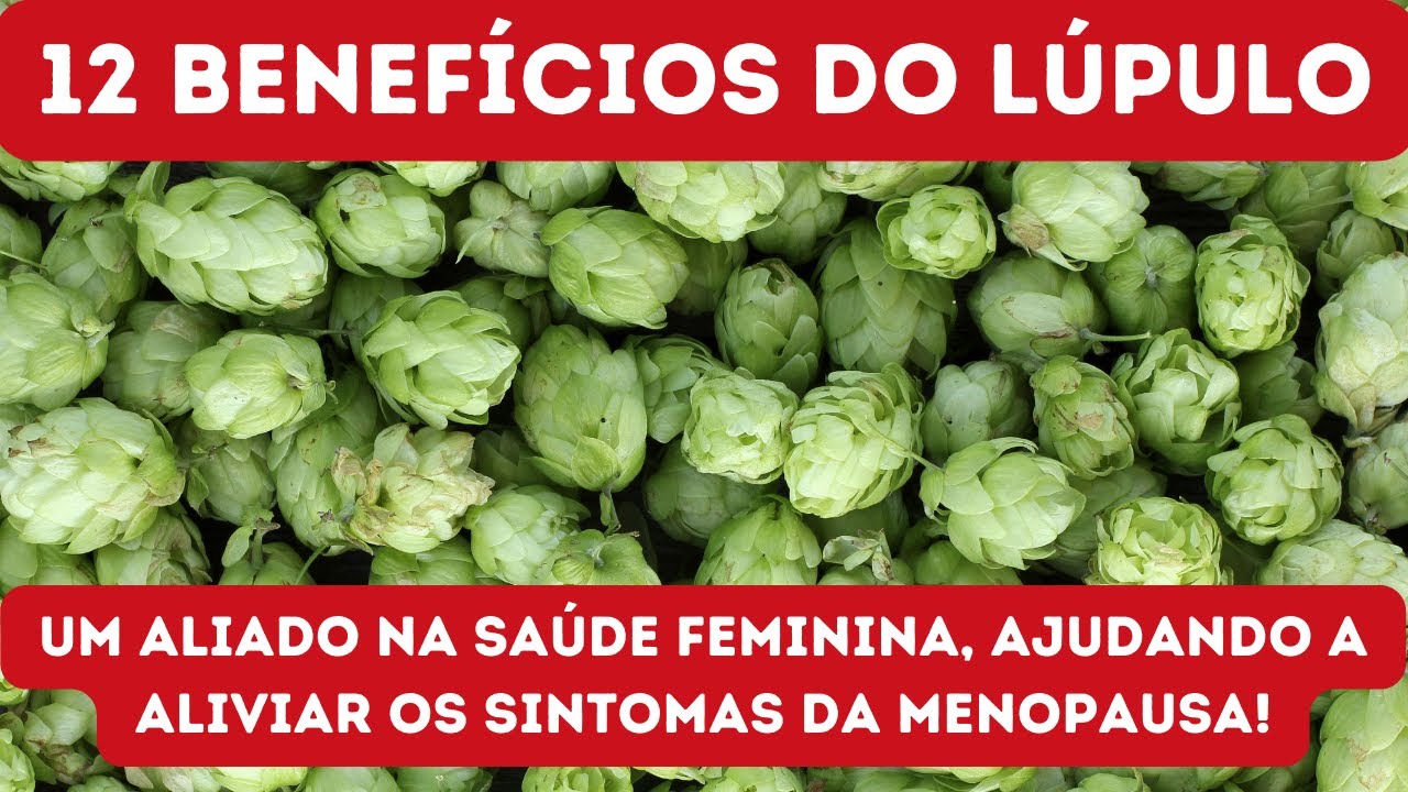L&Uacute;PULO - 12 BENEF&Iacute;CIOS DO L&Uacute;PULO QUE V&Atilde;O TURBINAR A SUA SA&Uacute;DE