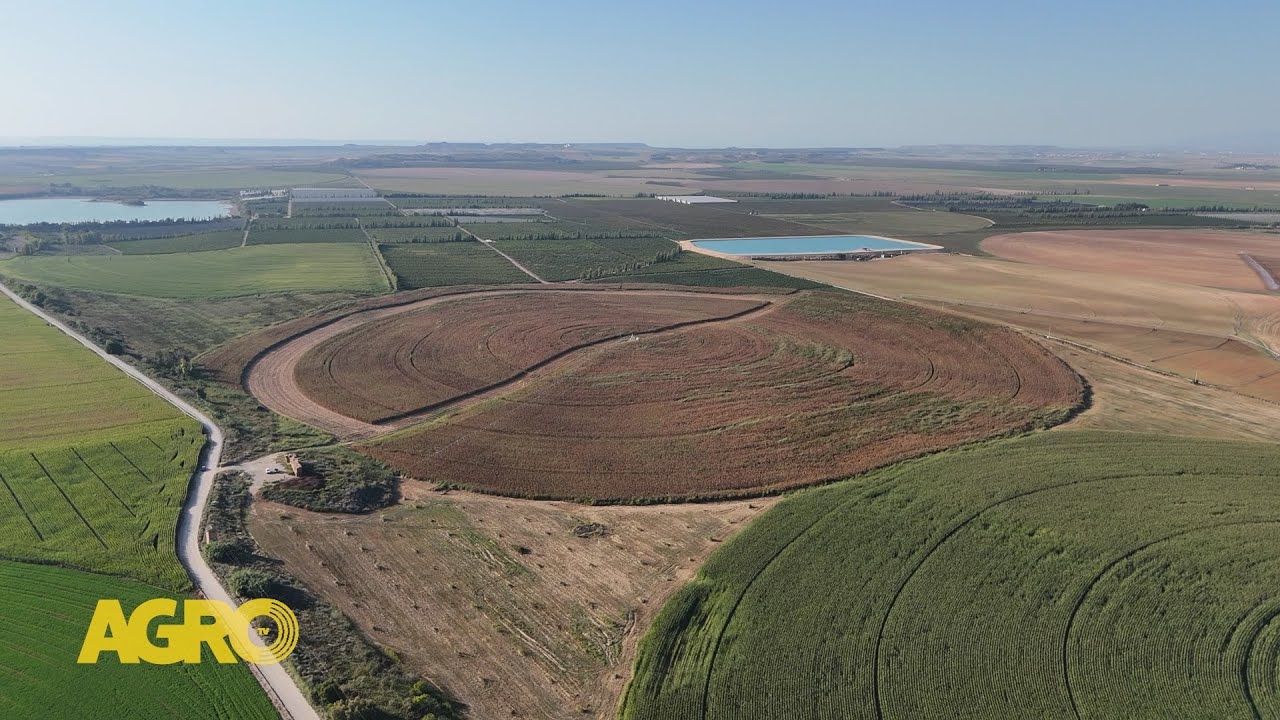 Finca San Miguel: Maíz de alta performance, tecnología que marca la diferencia (