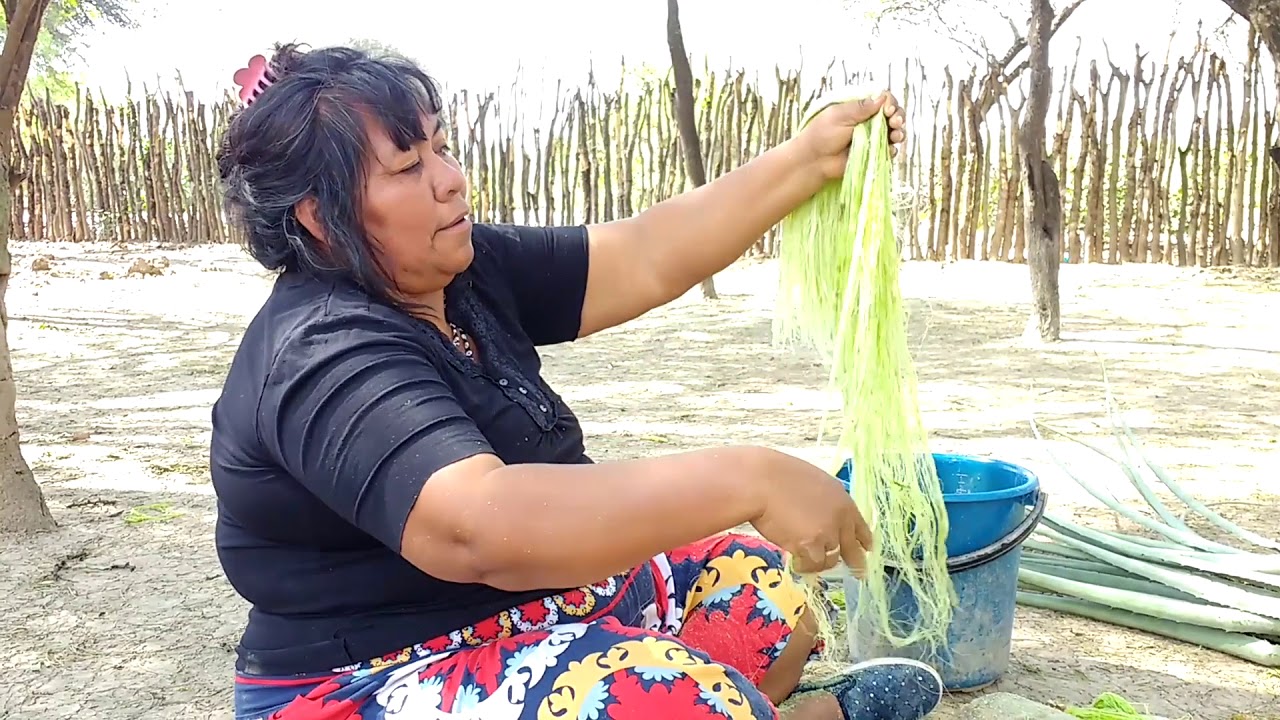 Mujeres Wichí - Proceso del Chaguar