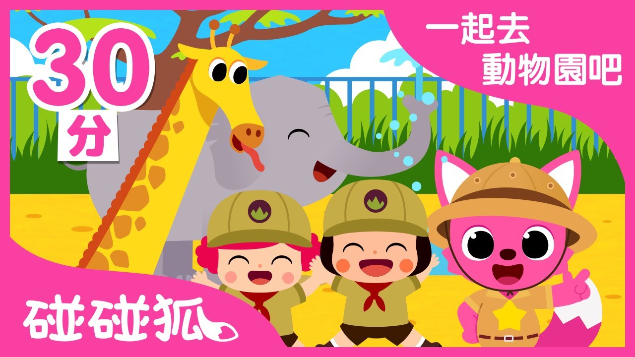 和碰碰狐一起去動物園吧 | 兒童早教認知｜動物園線上看｜連續播放｜動物兒歌 臺灣配音｜碰碰狐Pinkfong