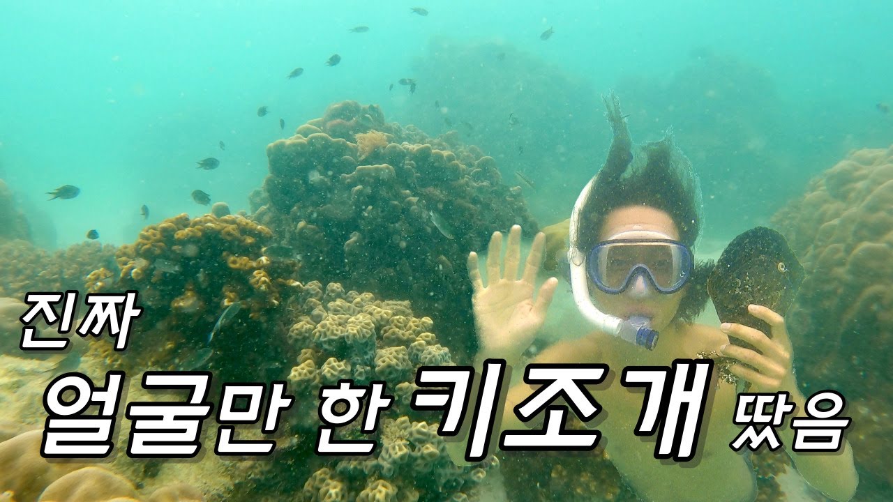 [세계 스노클링 여행] 니모섬 스노클링 투어 (물고기 진짜 많음) (파타야)