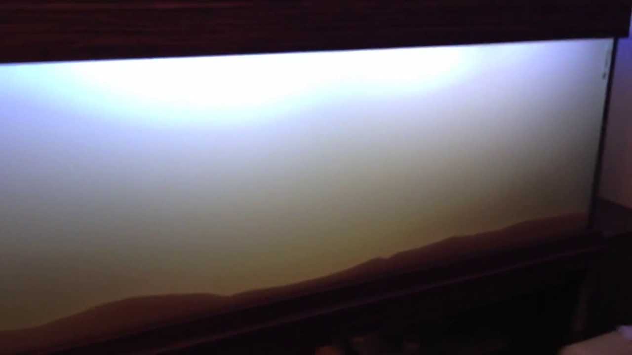 200g Reef Tank - Episode 18 - Miracle Mud & Sand