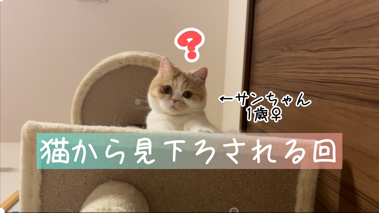 【#27】サンちゃんから見下ろされてみよう！2026.01.08