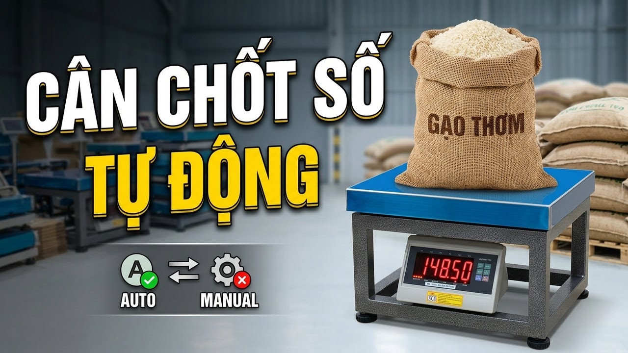 Cân điện tử chốt số tự động hoặc thủ công dành cho Cân lúa điện tử T7E