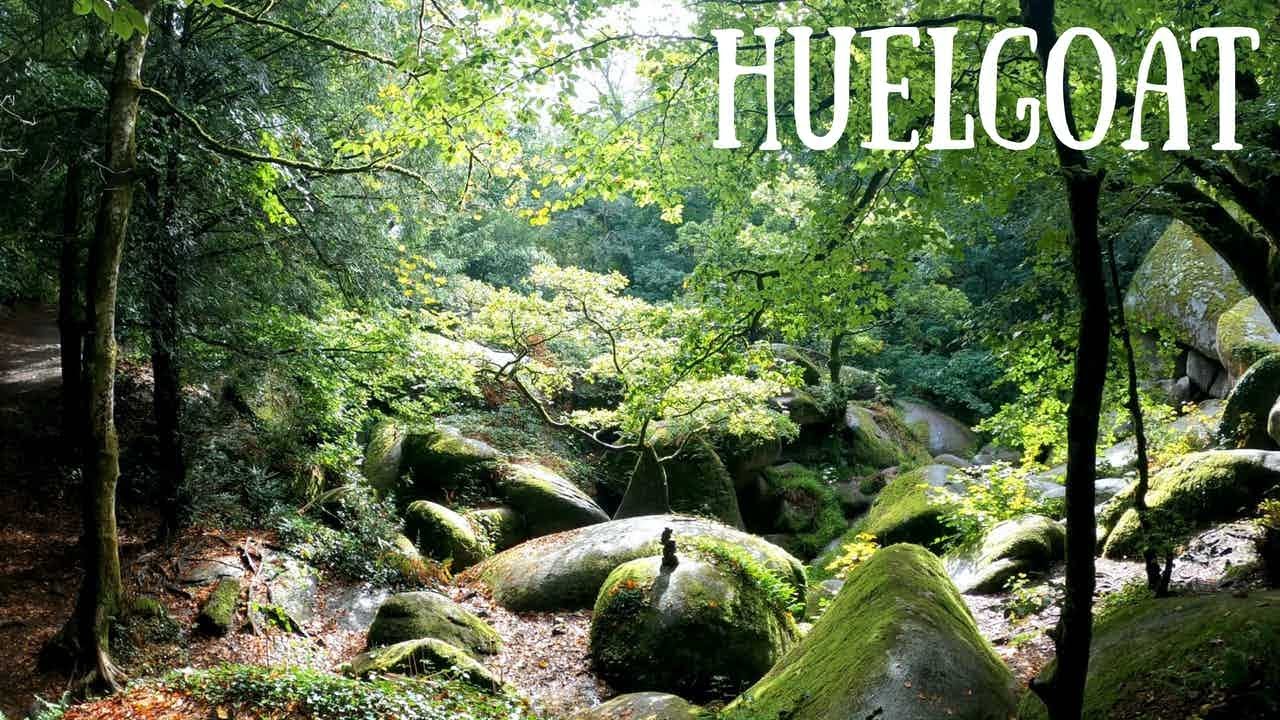 A la recherche des champignons - Huelgoat