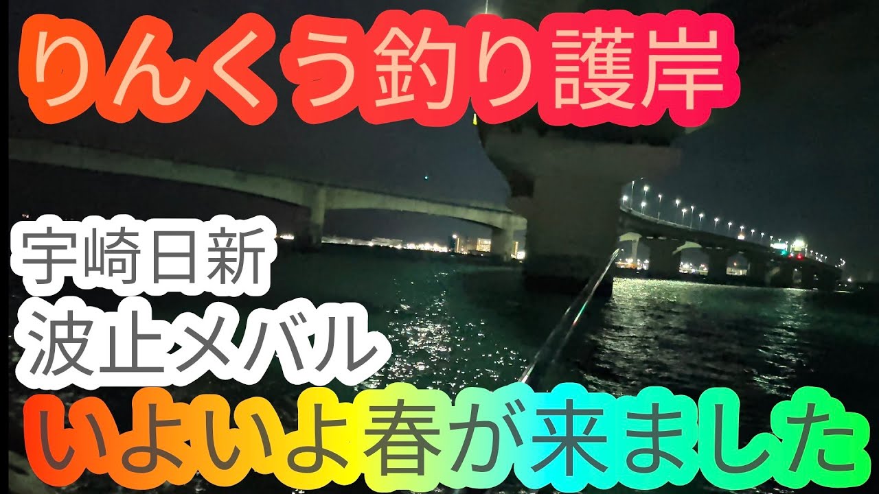 やっと春が来ました‼愛知県 知多半島 伊勢湾 常滑りんくう釣り護岸 海釣り fishing ロックフィッシュ メバル カサゴ