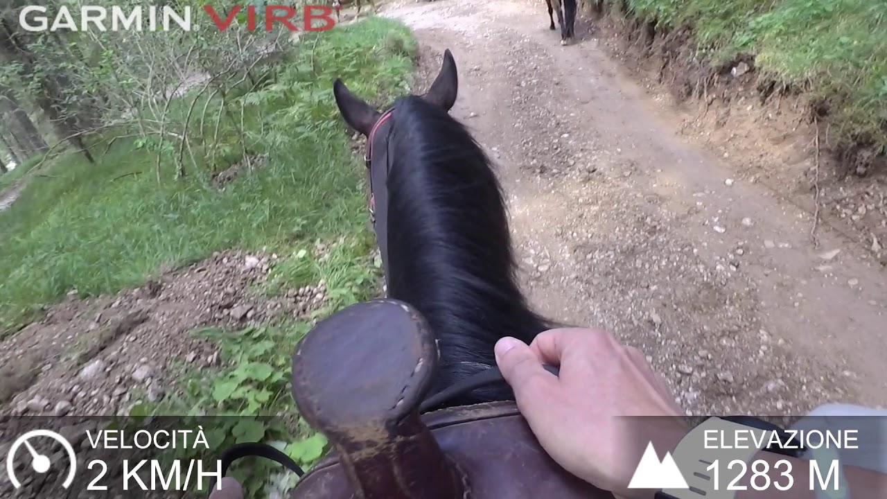 Passeggiata a cavallo Soraga 2019!!!
