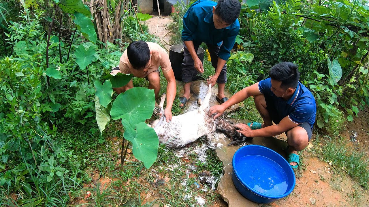 THỊT BE LE NHIỀU MÓN | Nhịp Sống Thường Ngày