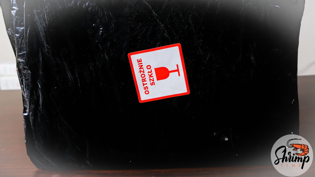 Uboxing KREWETEK CARIDINA - od Widza - co to za krewetki?