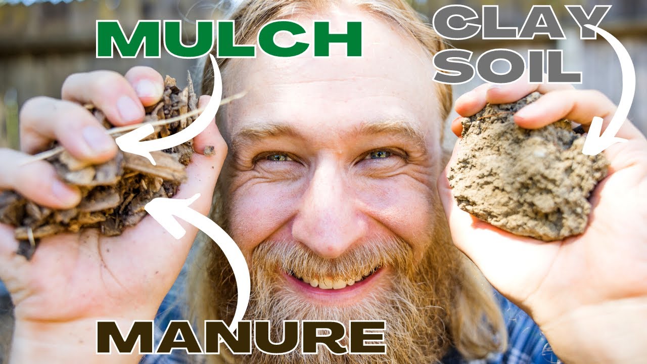 How do I Plant In TOUGH CLAY Soil? 6 Tips & Tricks