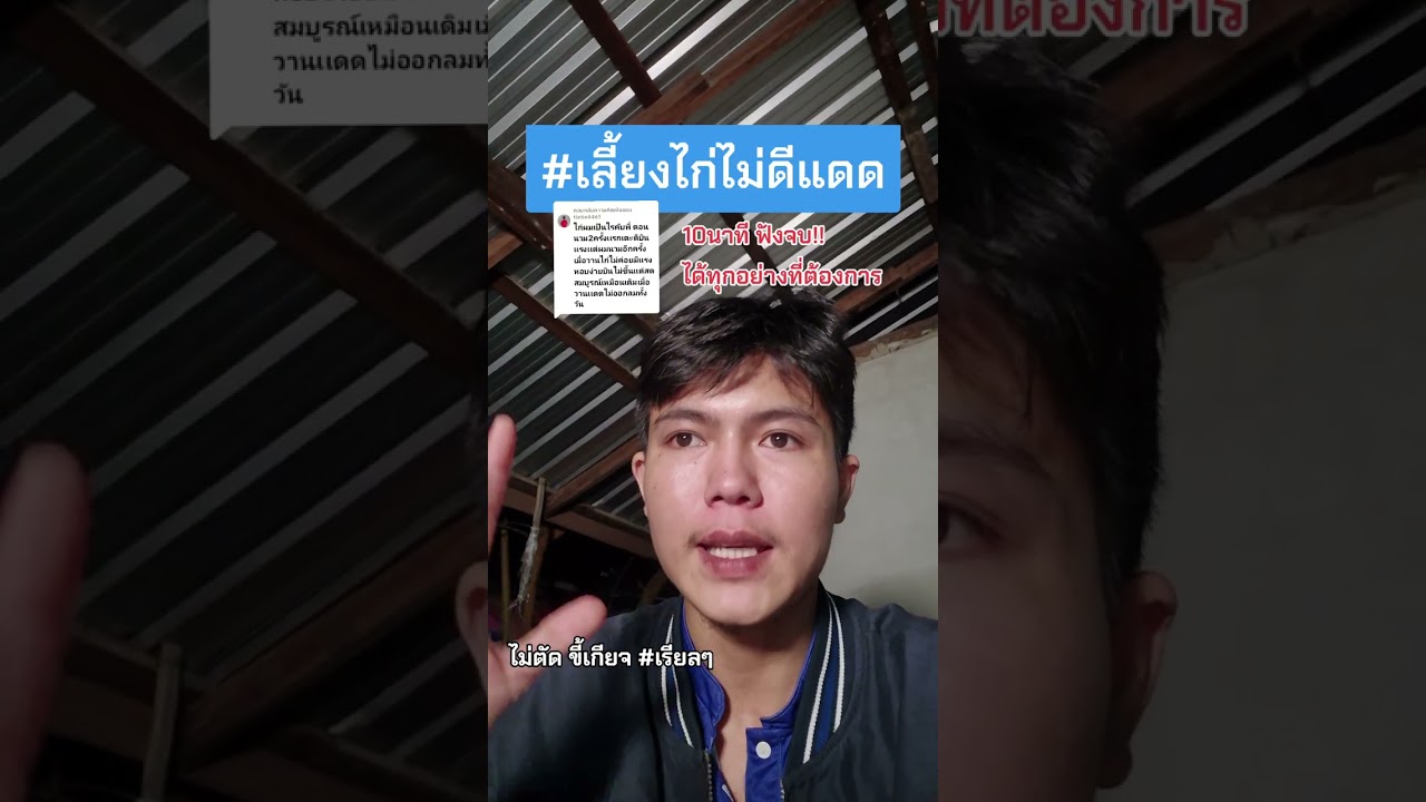 เลี้ยงไก่ไม่มีแดด #ไก่ชนวันนี้ #แสนชัยชนกฟาร์ม #เหล่าพม่าเจาะเกราะ #หนุ่มโรงรถ 