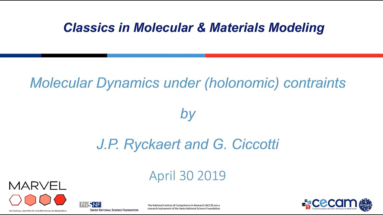 Molecular dynamics under (holonomic) constraints