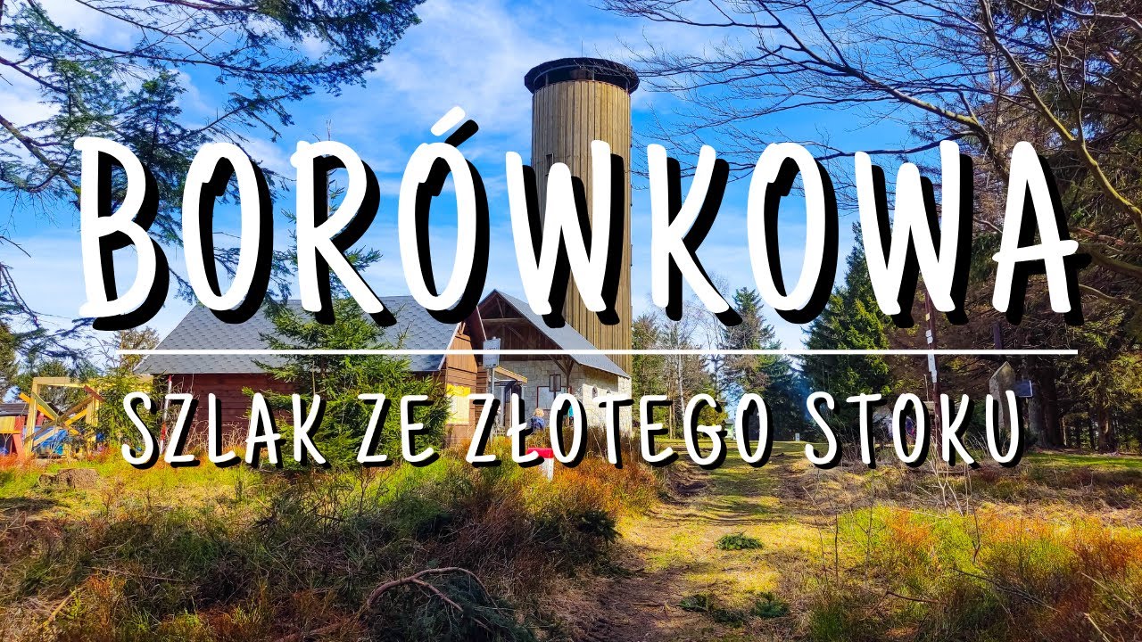 BORÓWKOWA - Czy rzeczywiście taka widokowa? 🤔