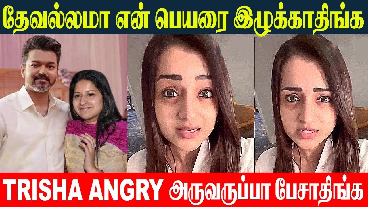 Trisha Angry Reply 🔥 Vijay And Sangeetha Divorce Issue | Sweden - Wedding Anniversary Issue