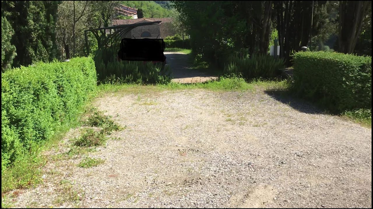Pulizia Siepe da edera e altre piante infestanti - Cleaning hedge from ivy and other weeds 5
