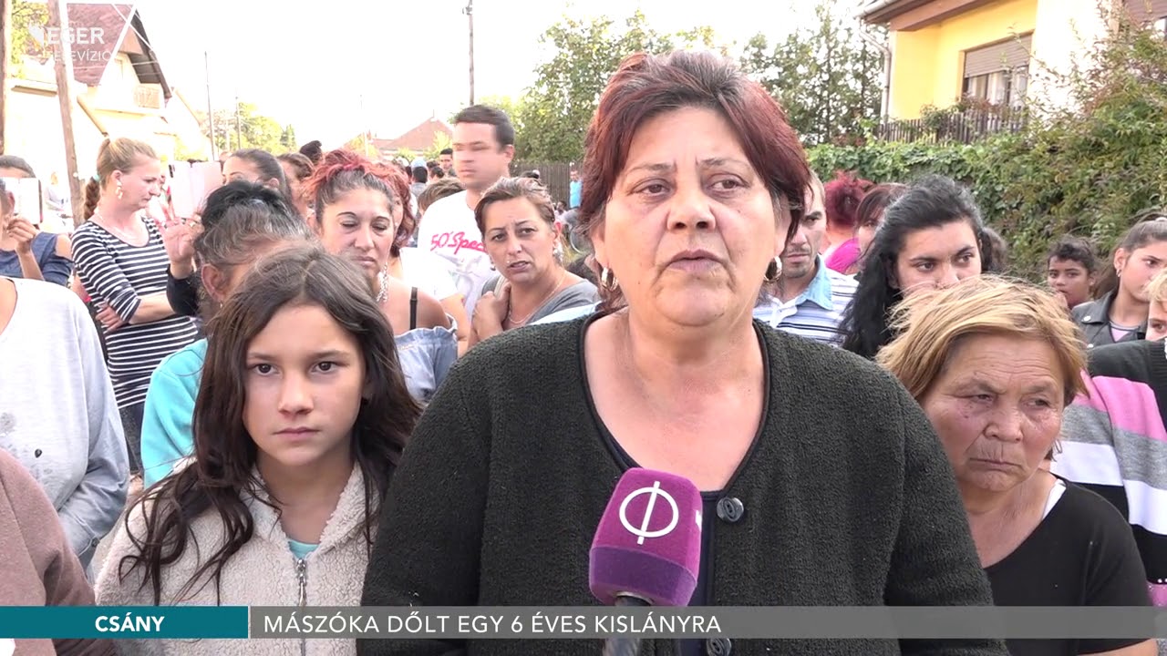 Trag&eacute;dia &ndash; M&aacute;sz&oacute;ka dőlt egy 6 &eacute;ves kisl&aacute;nyra Cs&aacute;nyban - 2019.09.27.